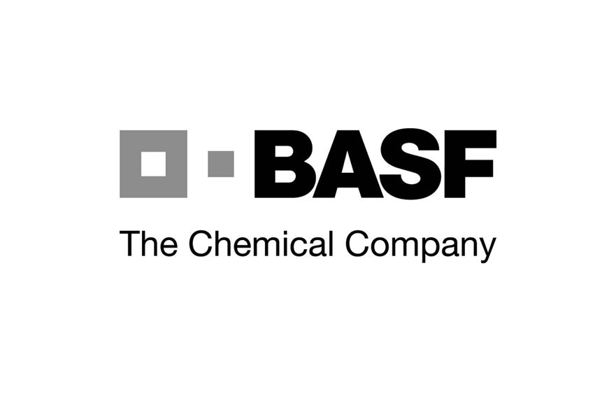 BASF Edgar – Contractor Background Verification Certificate - ISTC